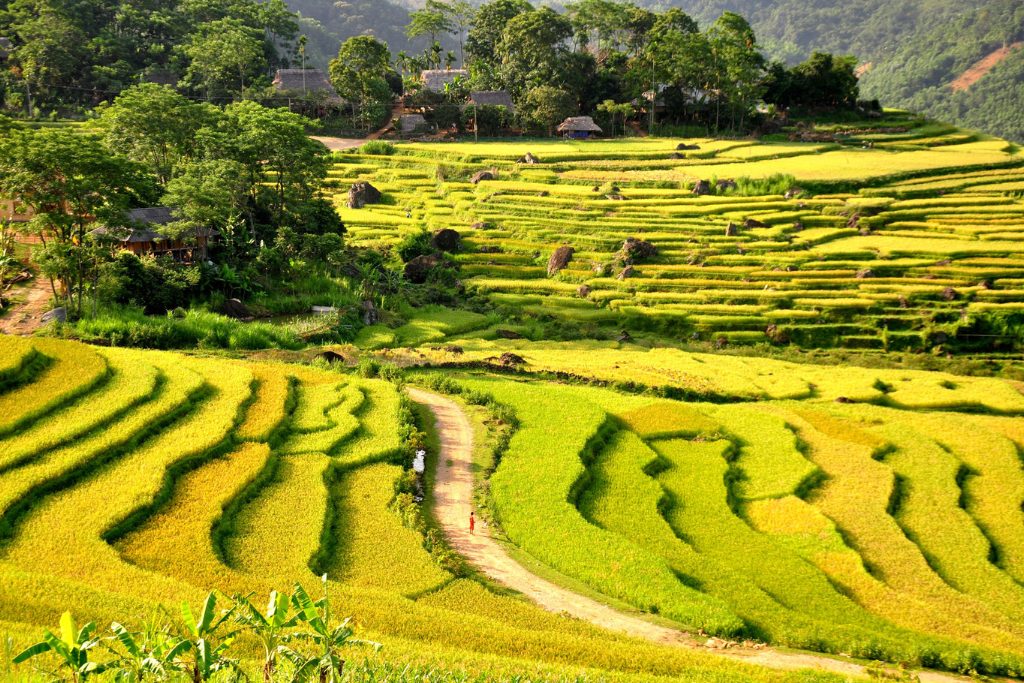 Circuit Vietnam haute de gamme 20 jours