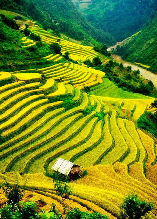 North Vietnam tour