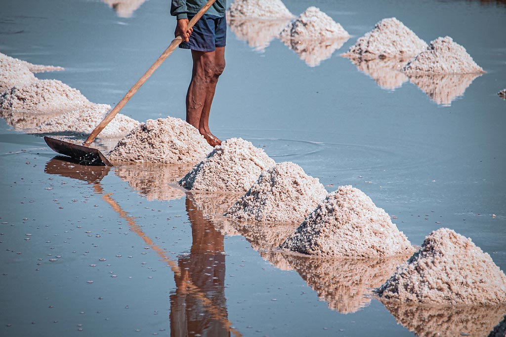 Visit the salt fields