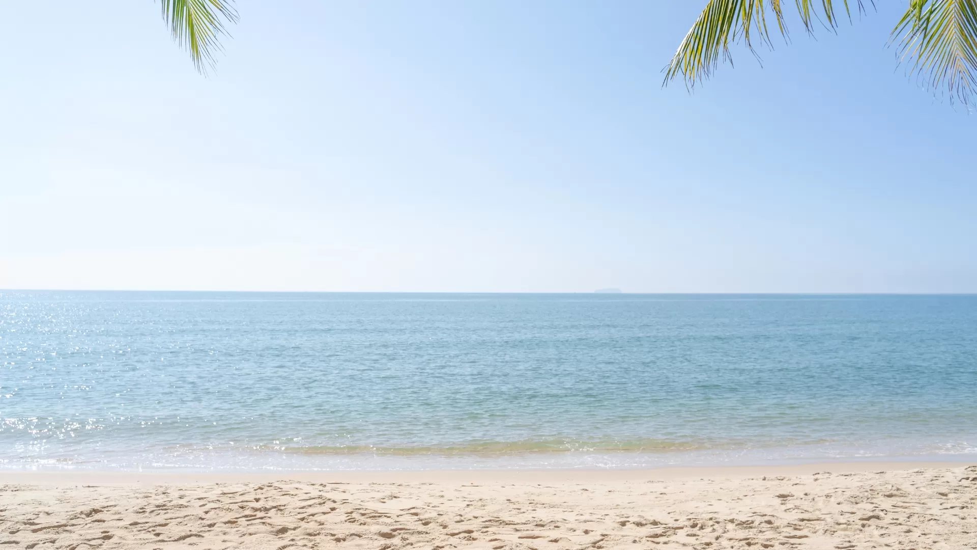 Lazy Beach