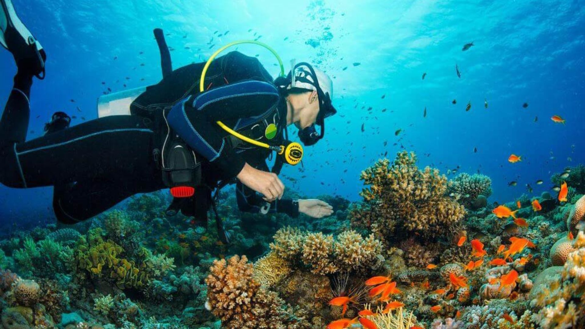 Que faire à Sihanoukville