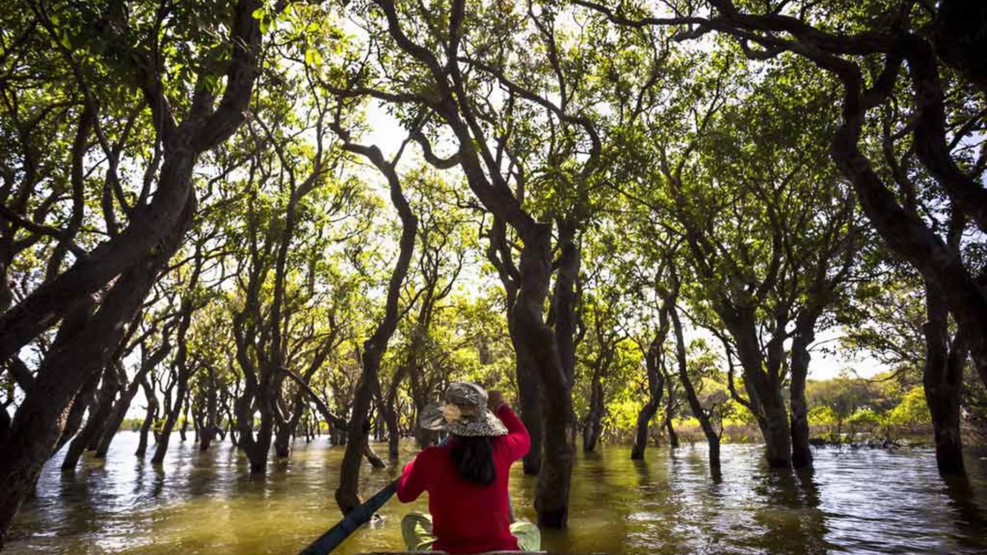 Lac Tonlé Sap