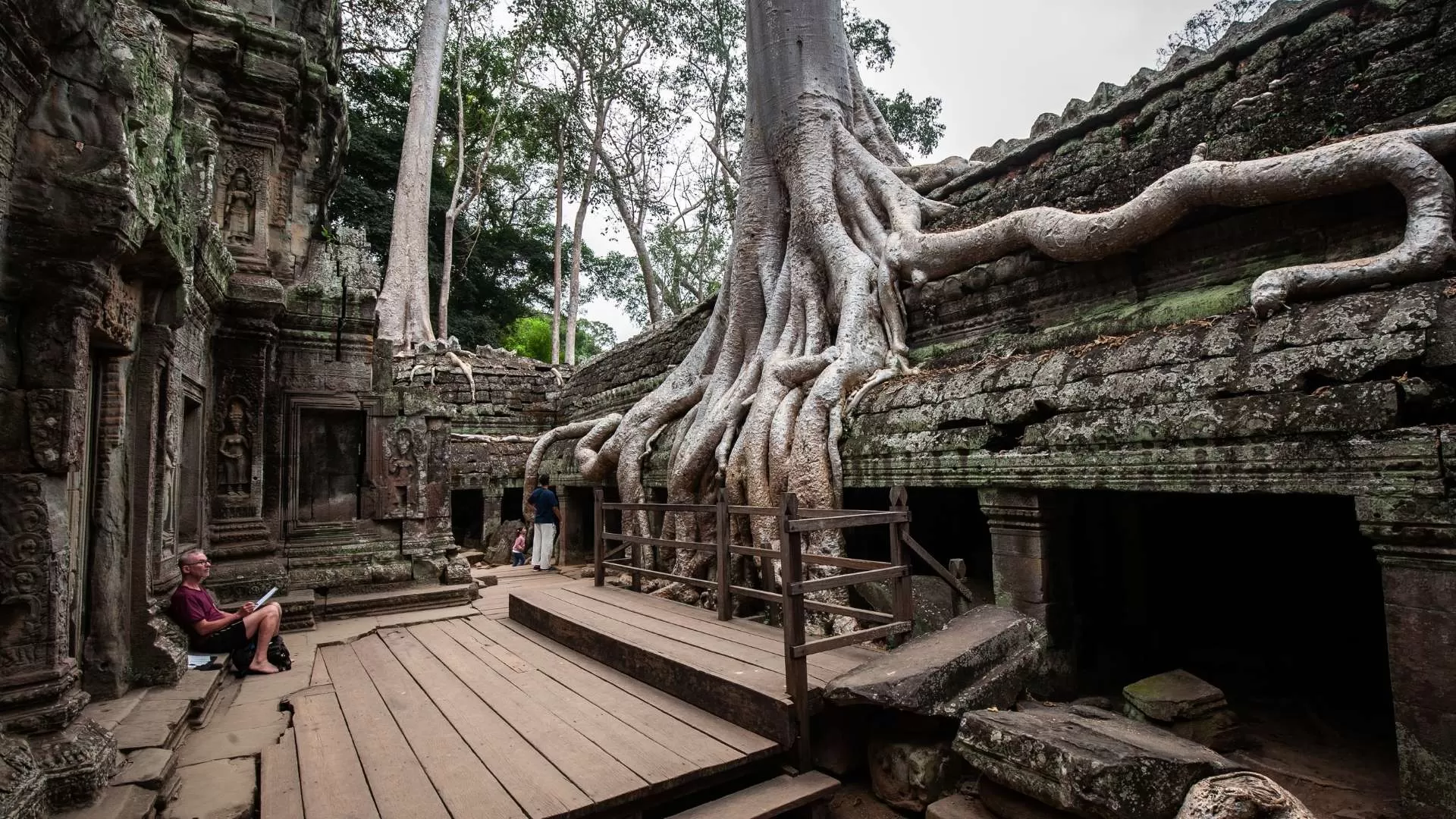 Temple Ta Prohm – Un temple mystique enchevêtré de racines d'arbres imposants.