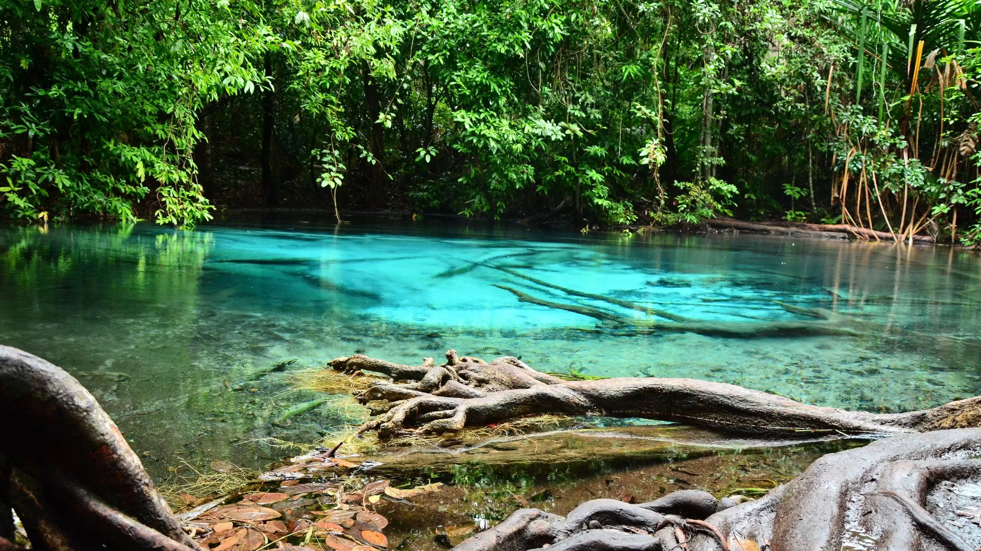 La Blue Lagoon
