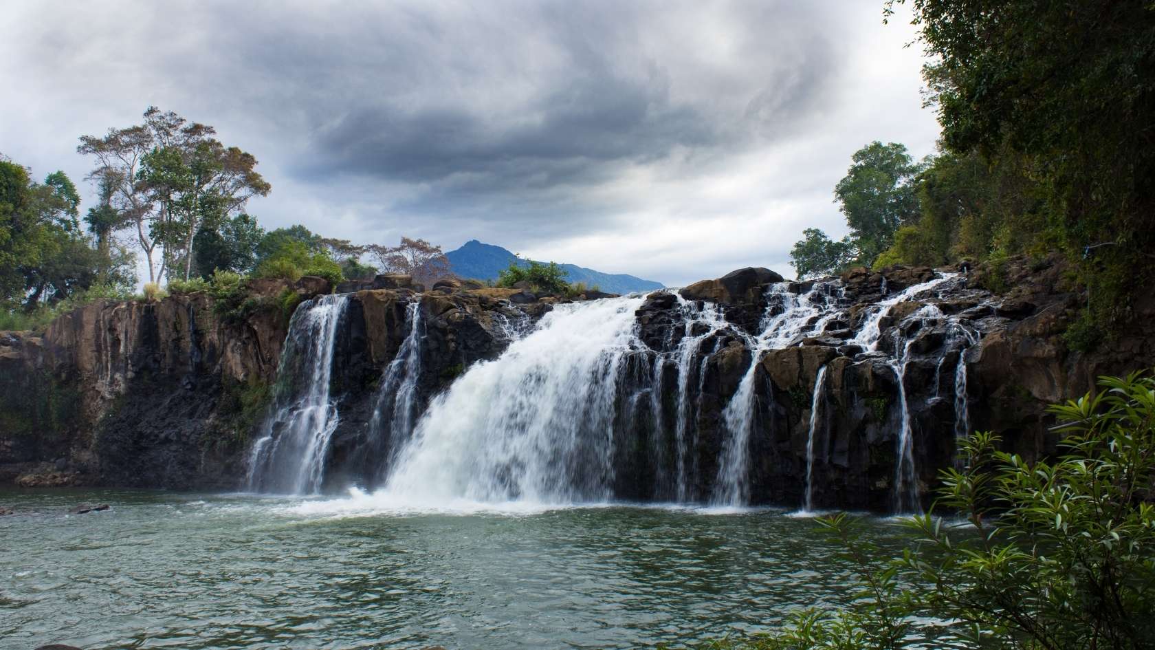 Bolaven Plateau