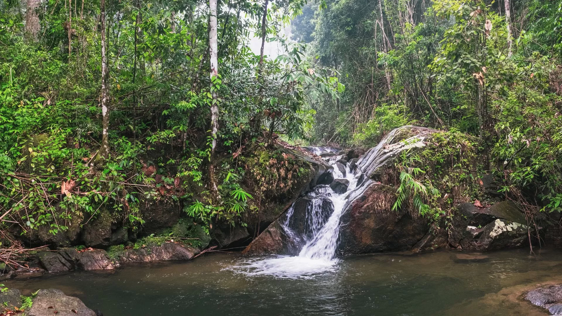 Parc national de Khao Lak - Lam Ru