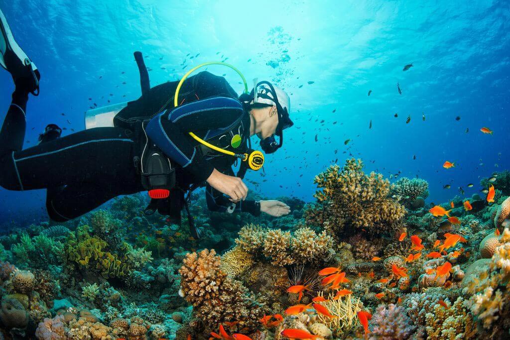 Snorkeling in Phi Phi Island