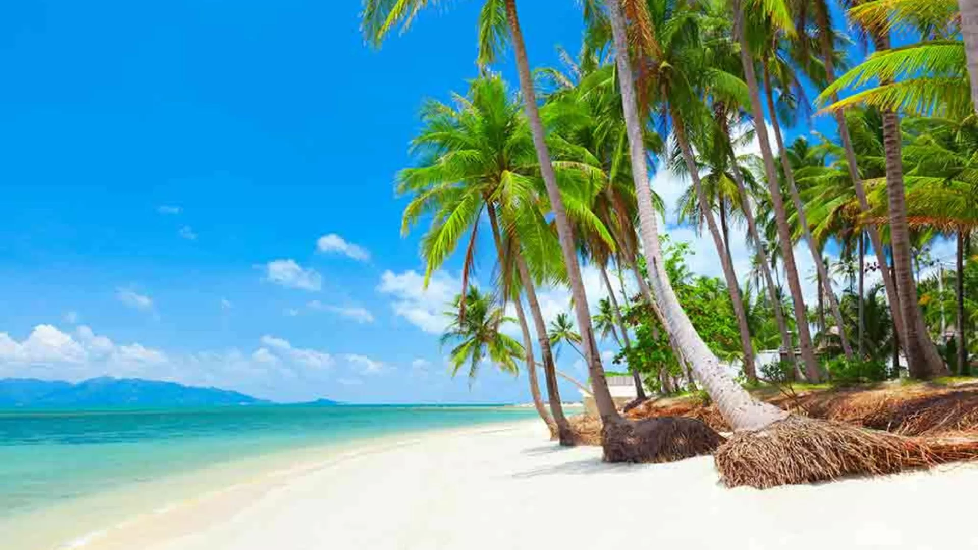Koh Samui