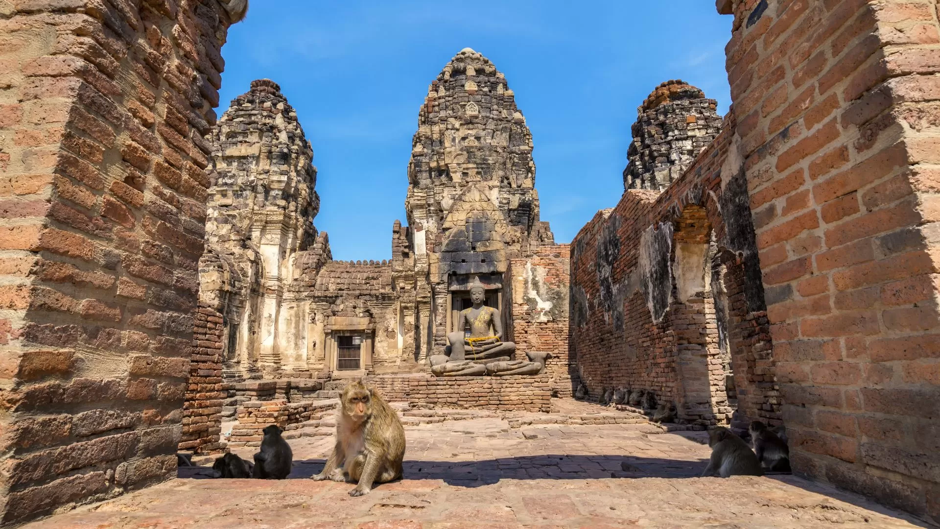 Temple des singes Lopburi