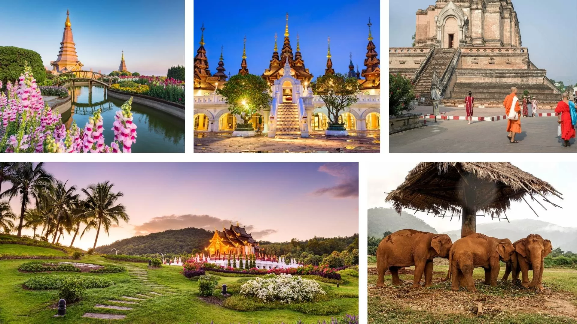 Choose the best weather to visit Chiang Mai for each travelers