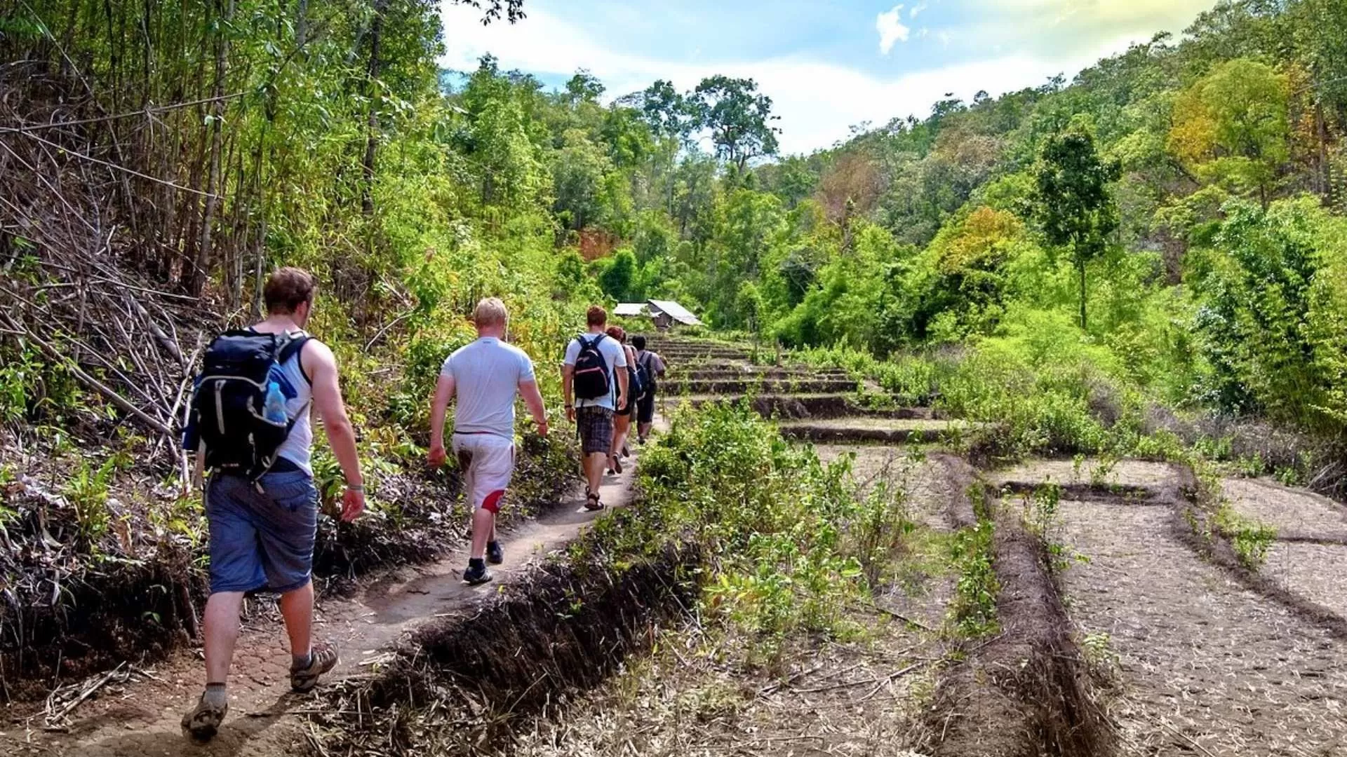 Trekking in Chiang Mai