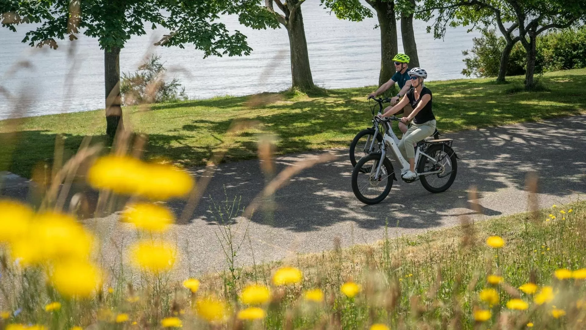 Rent a bicycle instead of walking