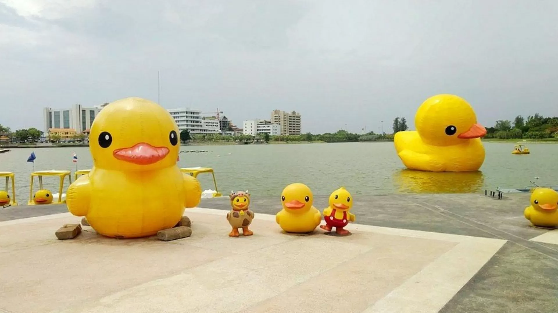 Giant inflatable yellow ducks, a popular landmark for photos