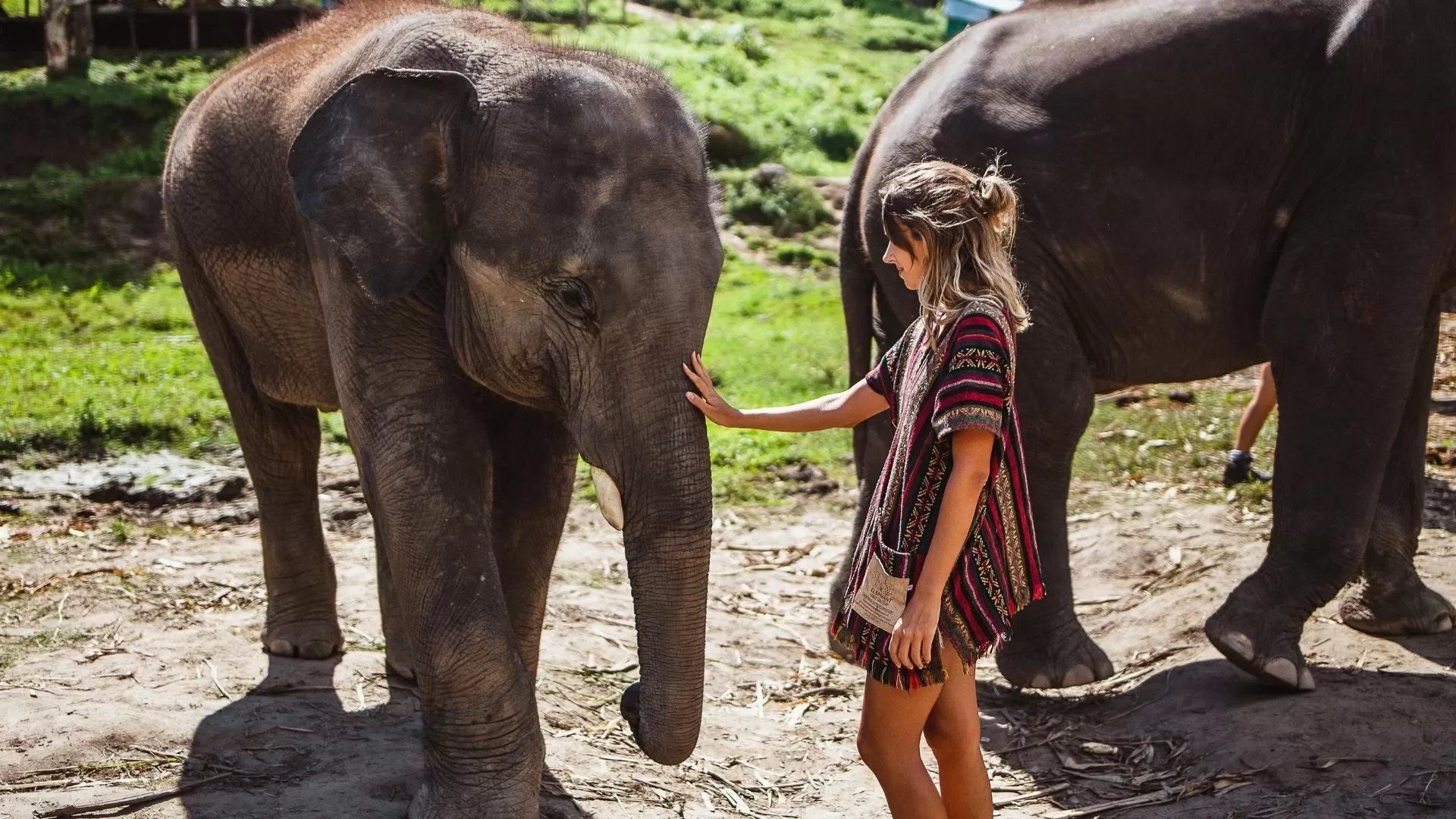 Samui Elephant Sanctuary