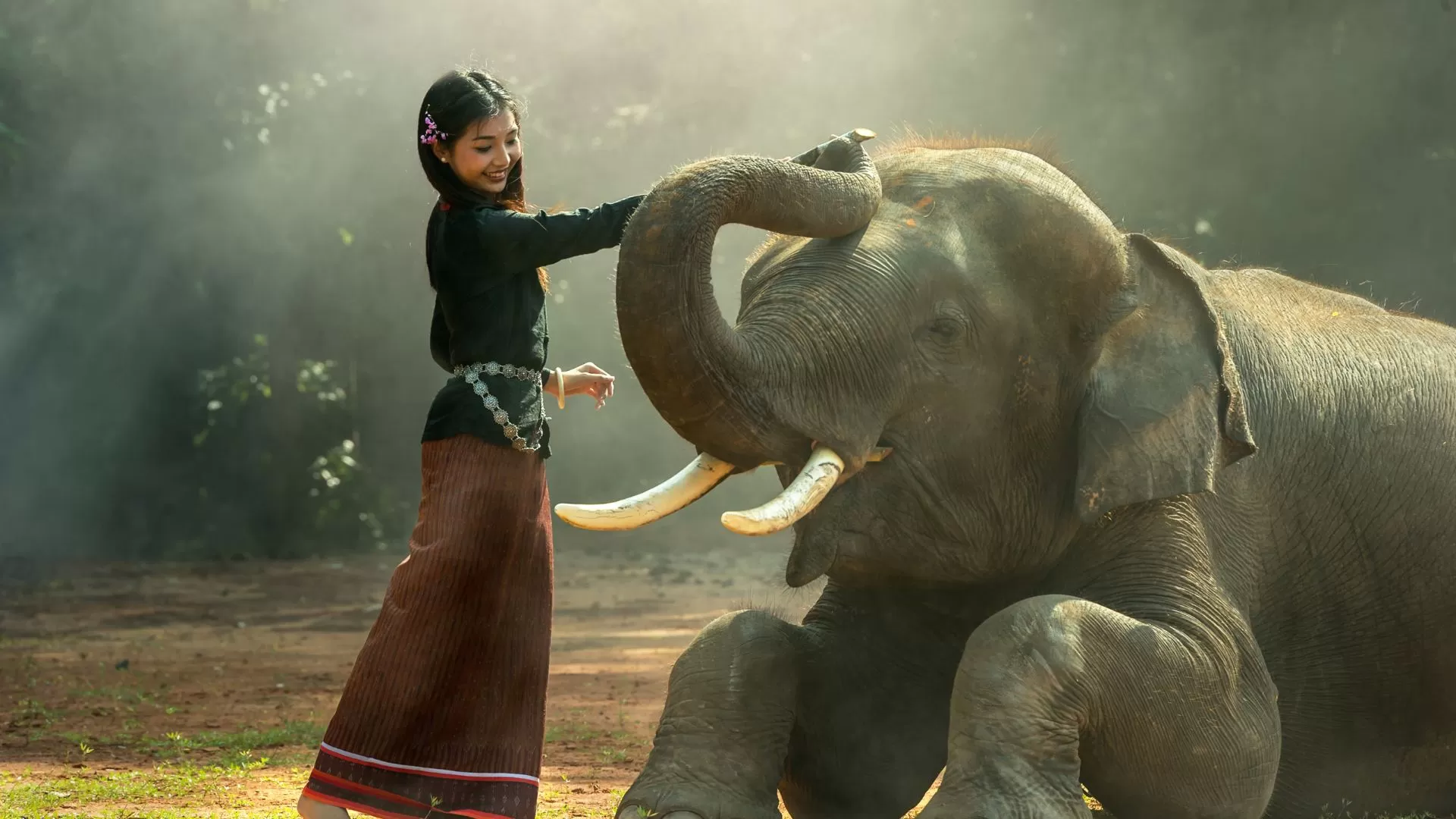 L'animal symbolique de la Thaïlande
