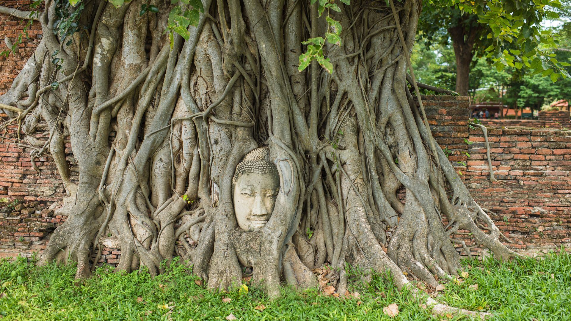 Ayutthaya