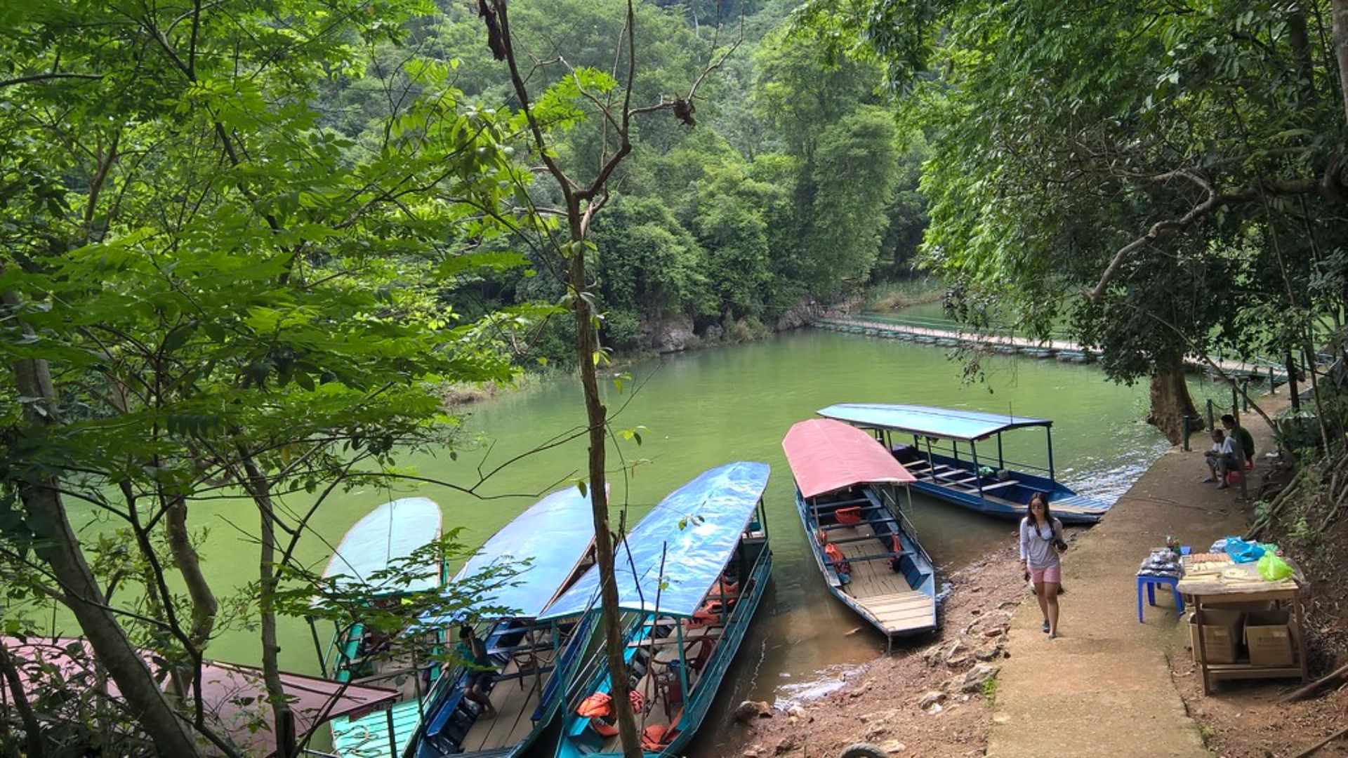 Découverte à bateau 