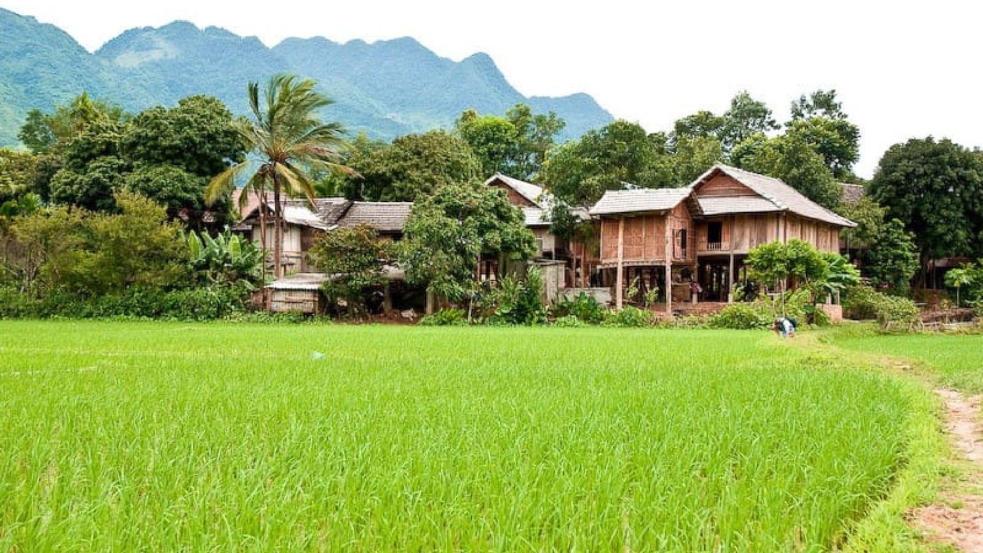 Mai Chau