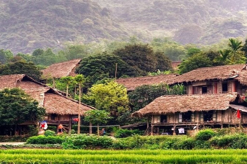  Mai Chau