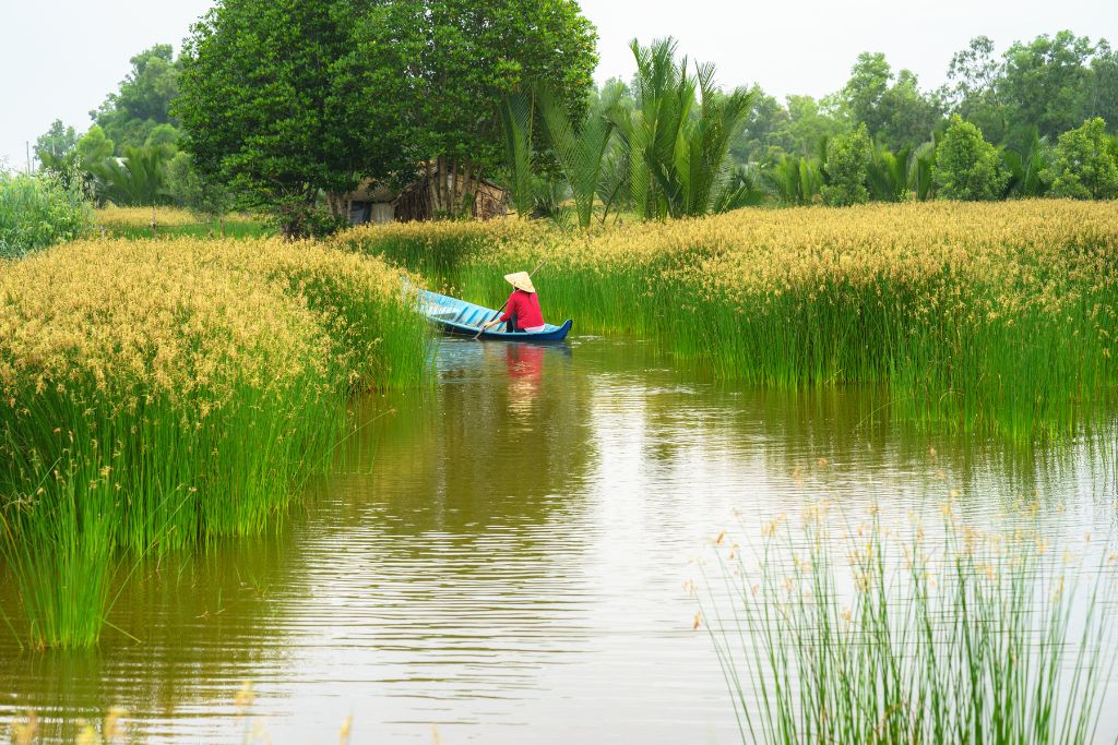  Delta du Mekong