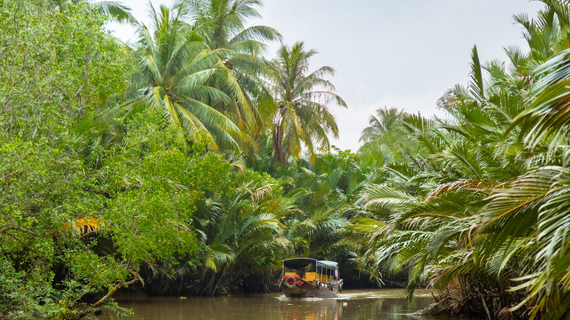 Ben Tre, terre des cocotiers du Vietnam