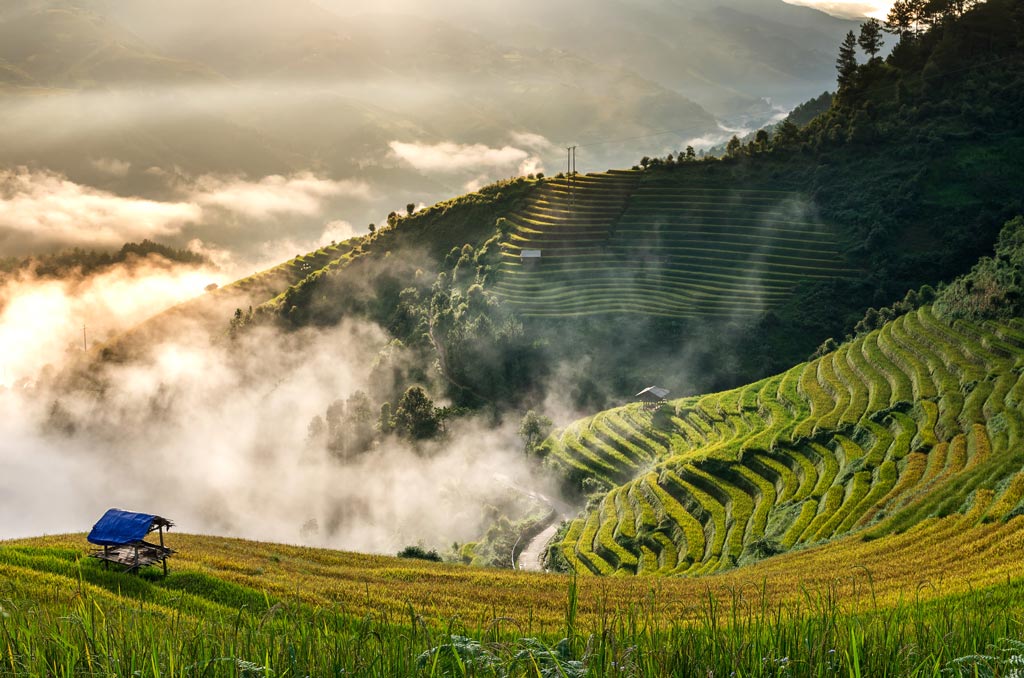 Rizières en terrasse de Mu Cang Chai