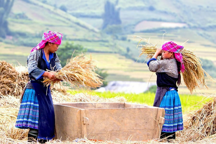 Minorité ethnique à Mu Cang Chai