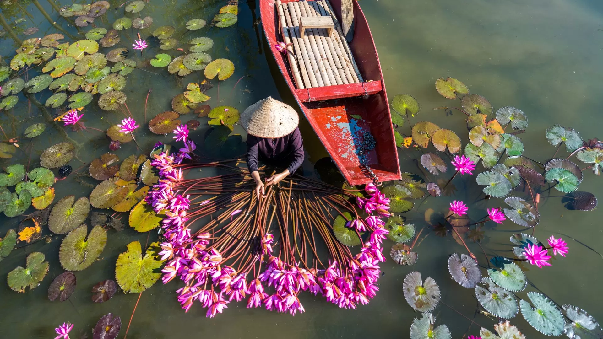 Ninh Binh