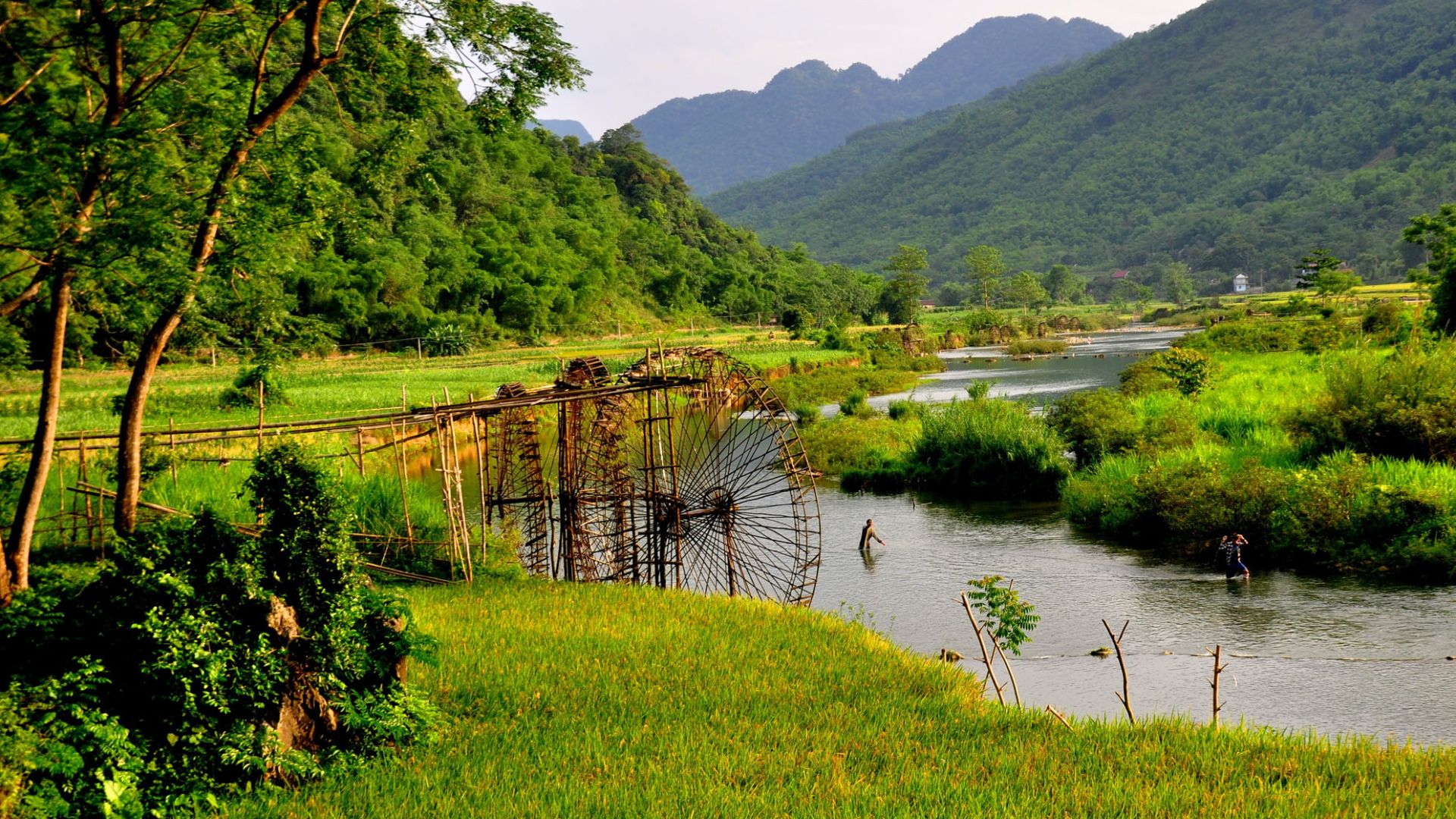 Beauté naturelle de Pu Luong
