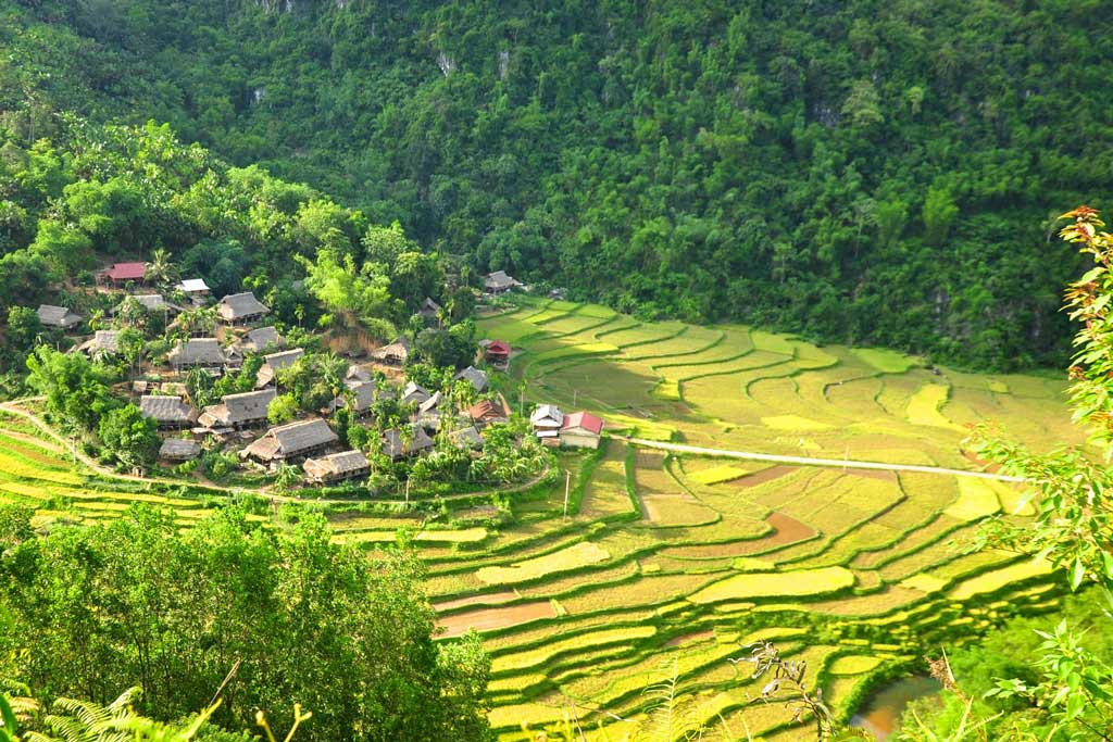 Explore the terraced rice fields of Pu Luong in Vietnam