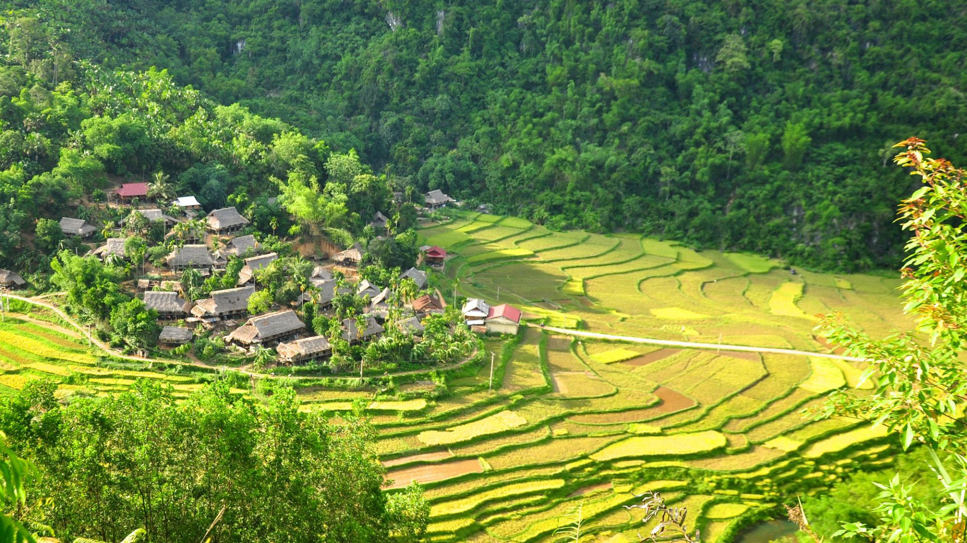 Puluong