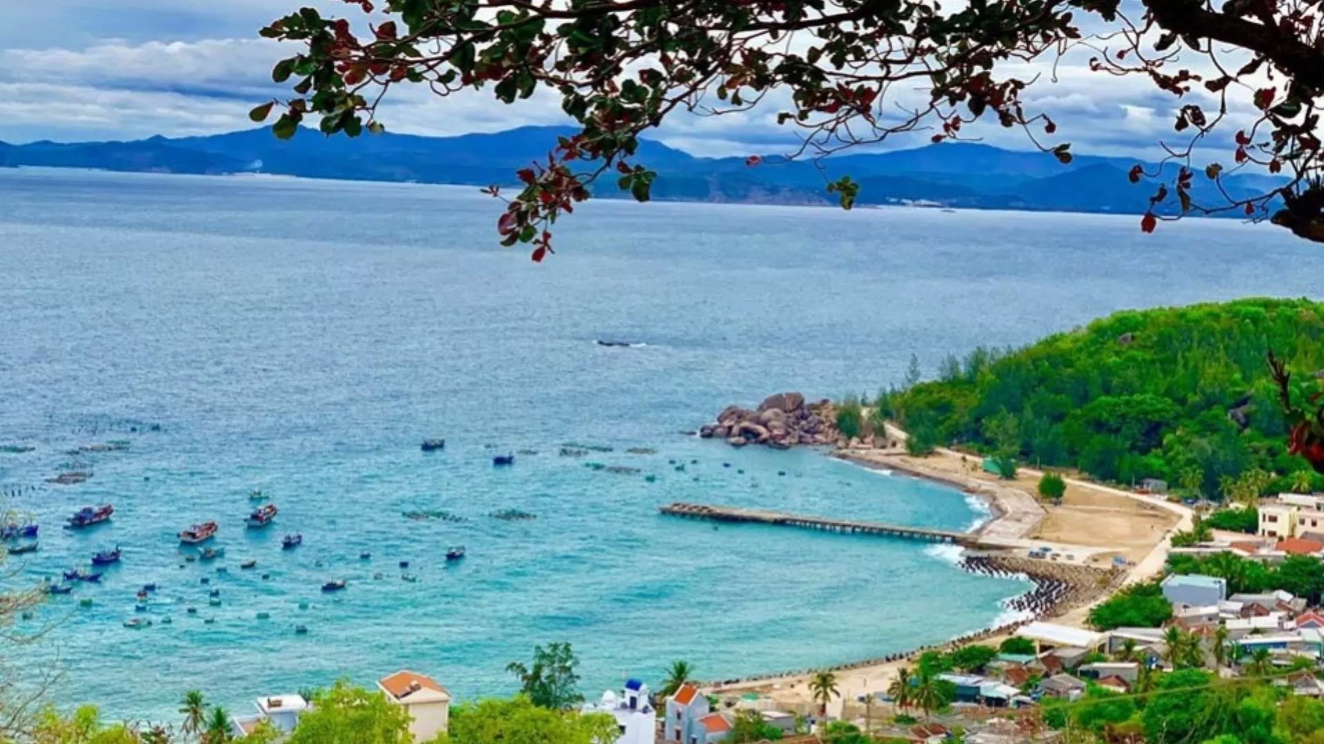 Cu Lao Xanh