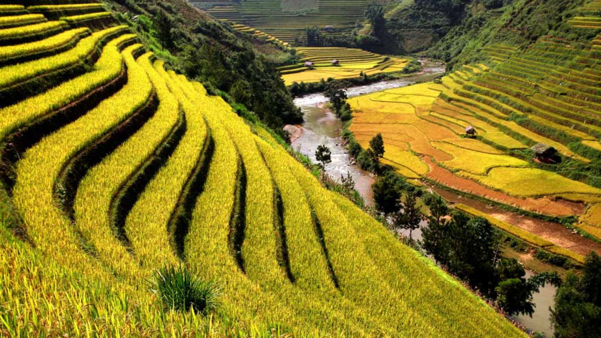 Pourquoi devriez vous visiter Sapa?