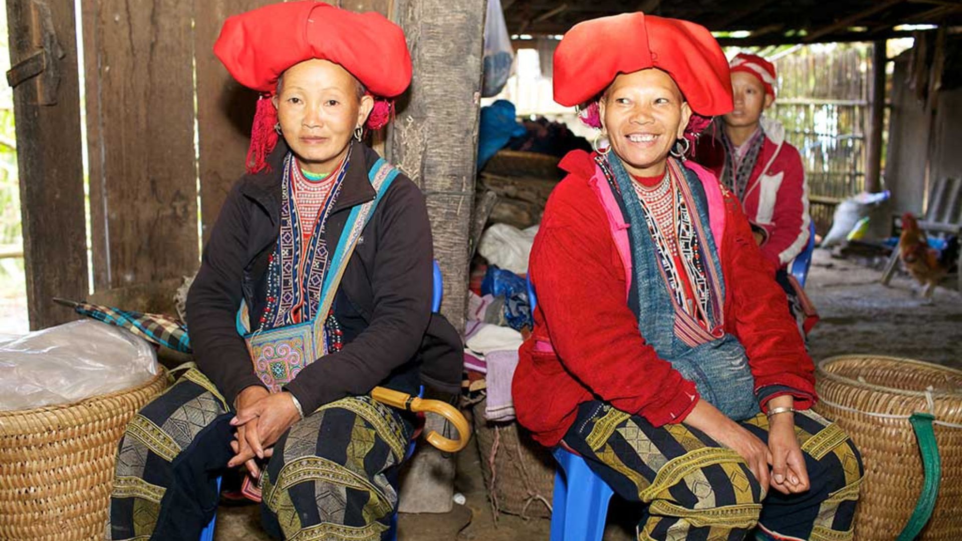 Sapa 
