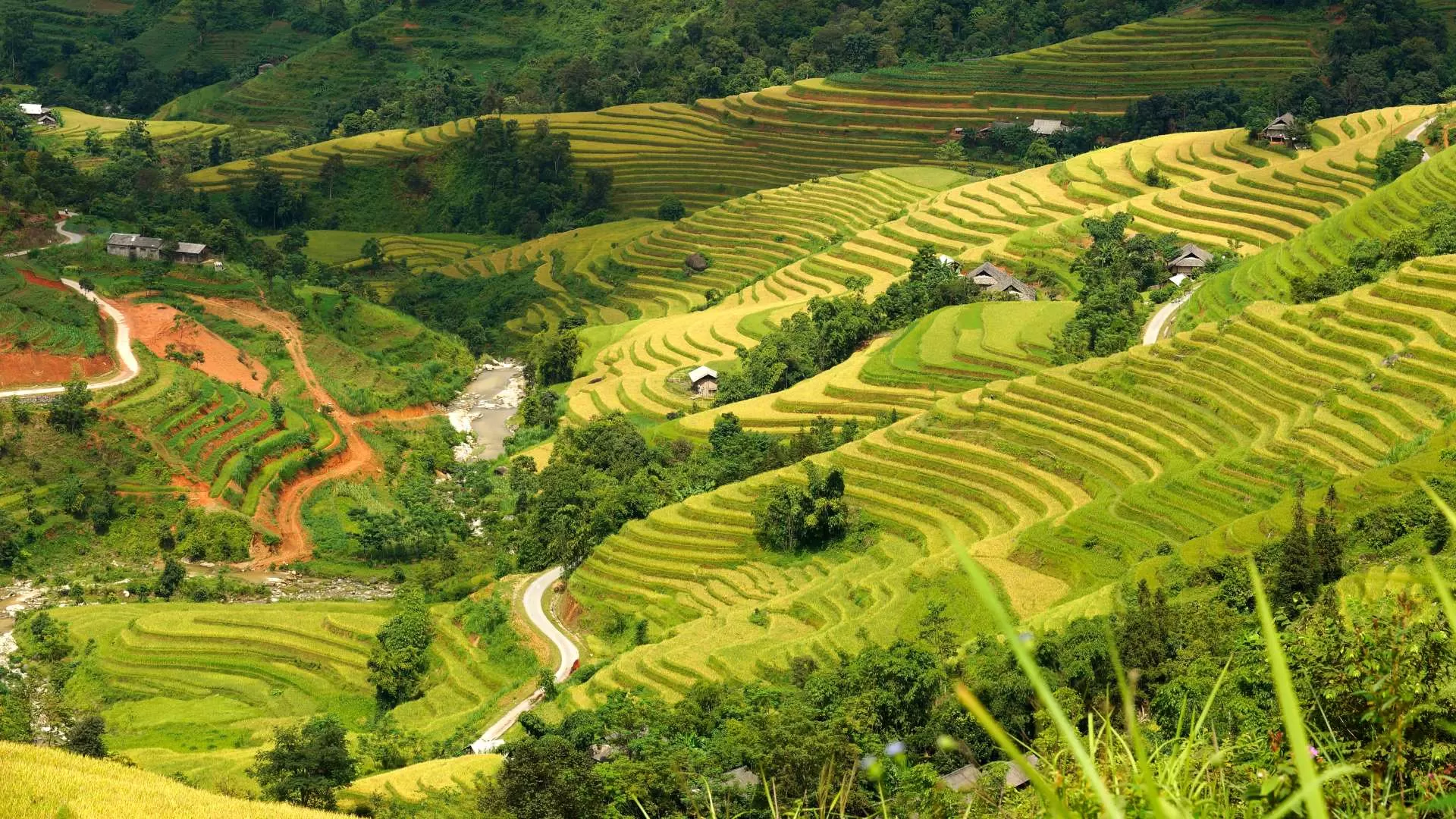 Ha Giang