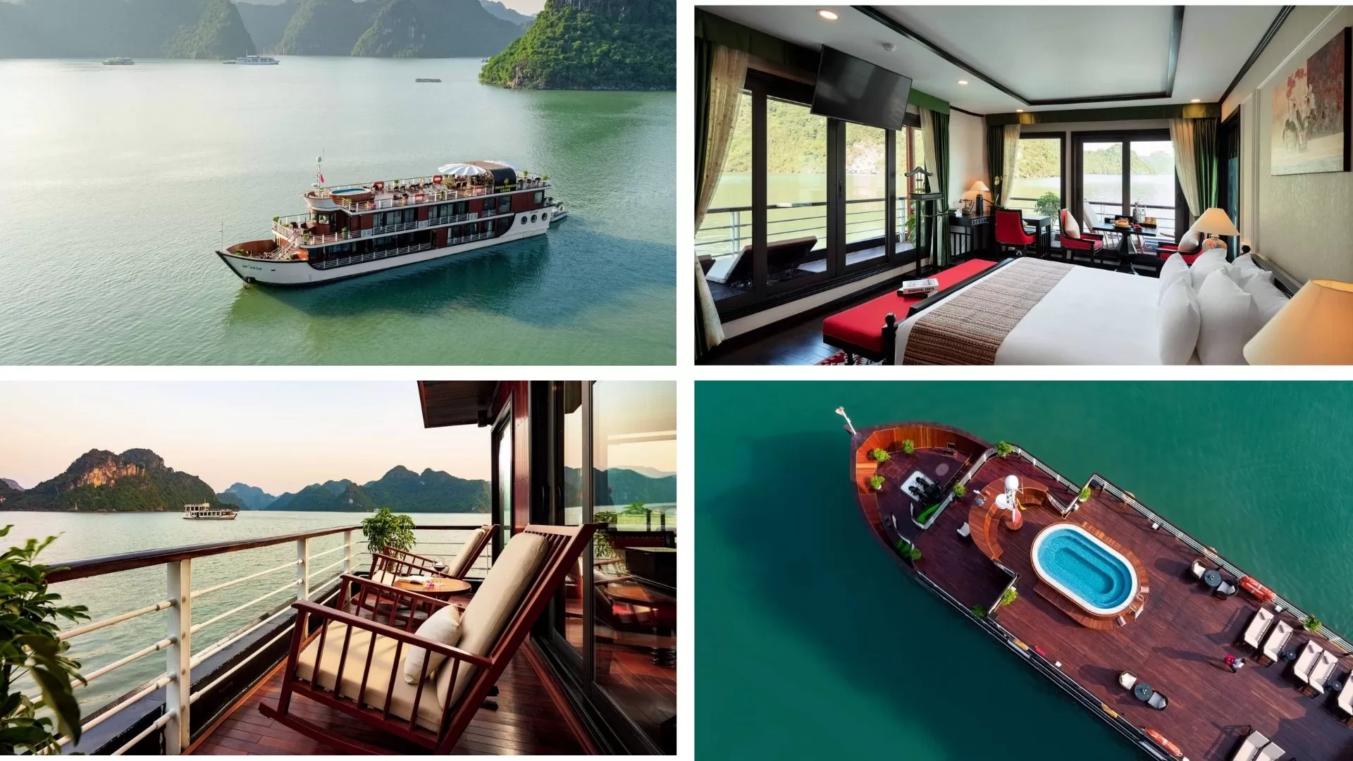 Orchid cruise