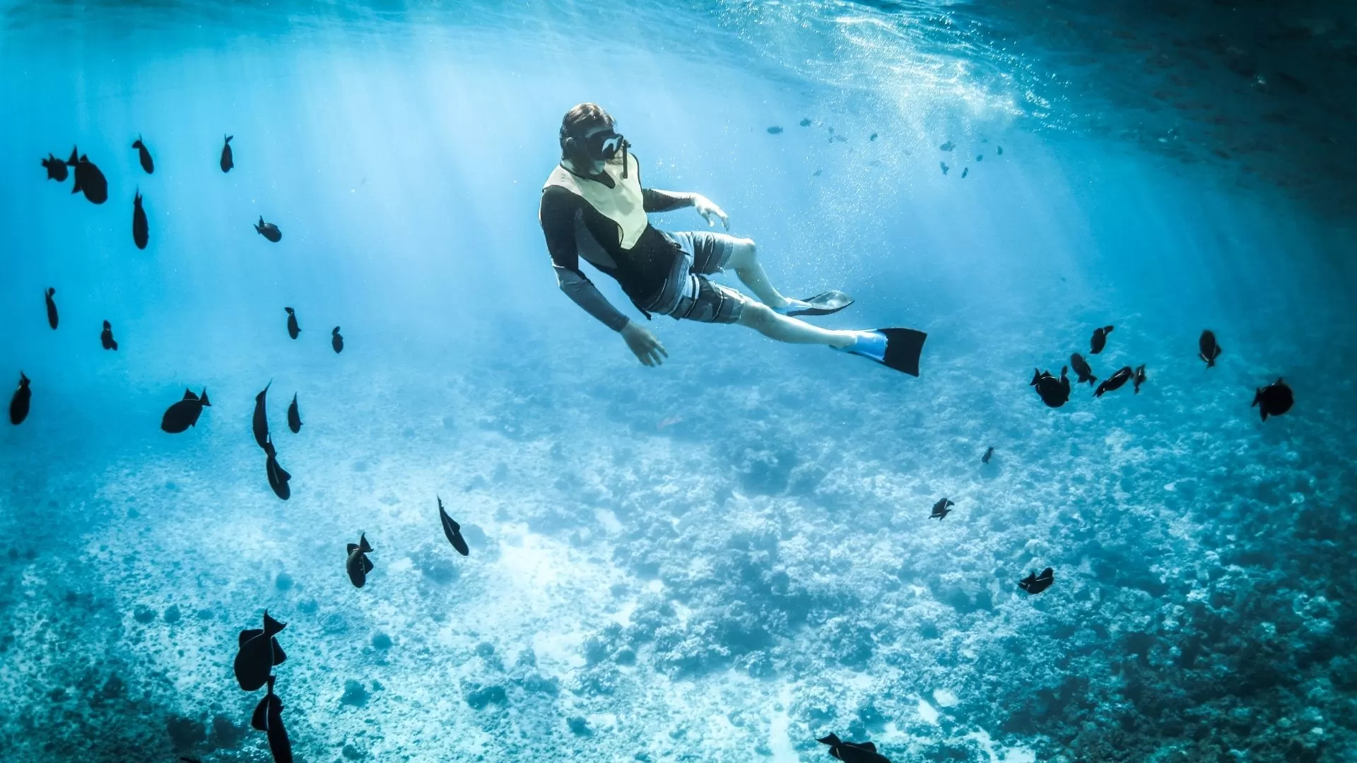 Snorkeling