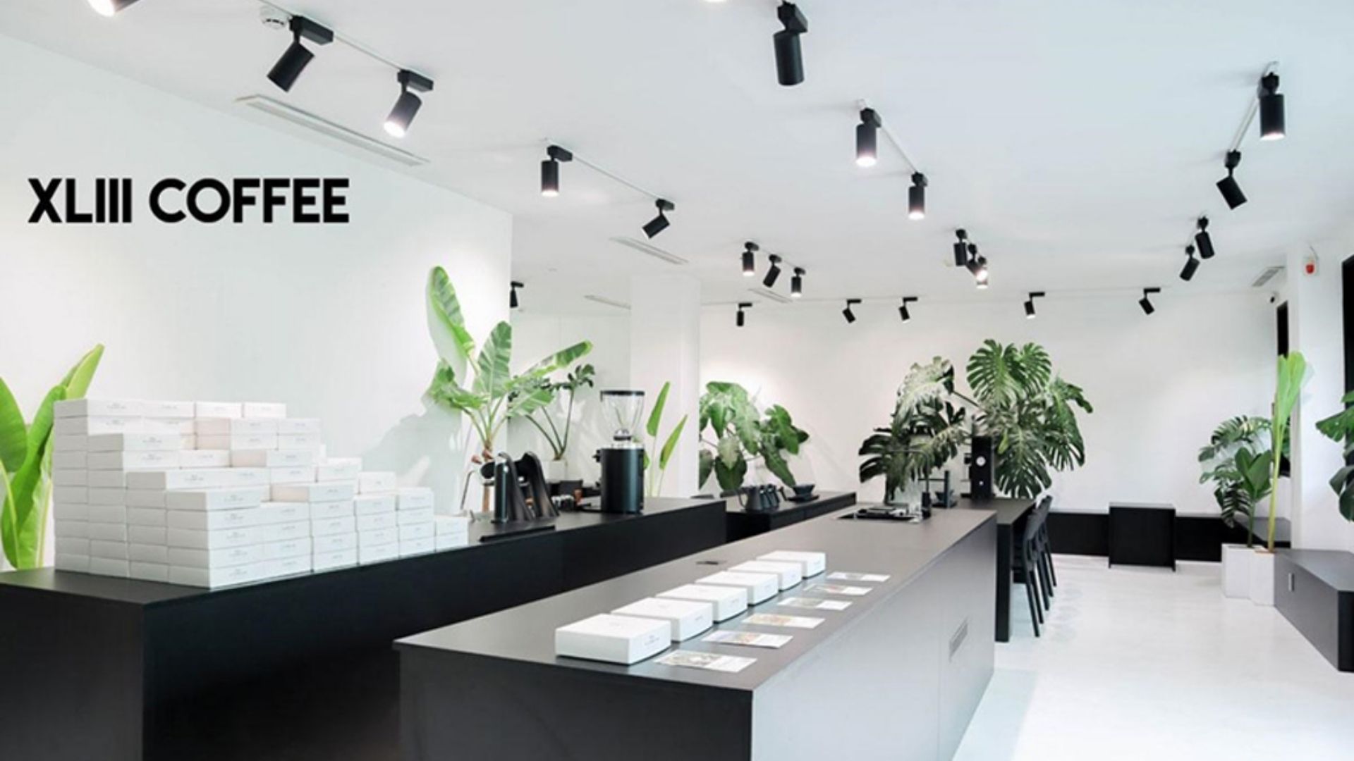 XLIII coffee Ho Chi Minh city