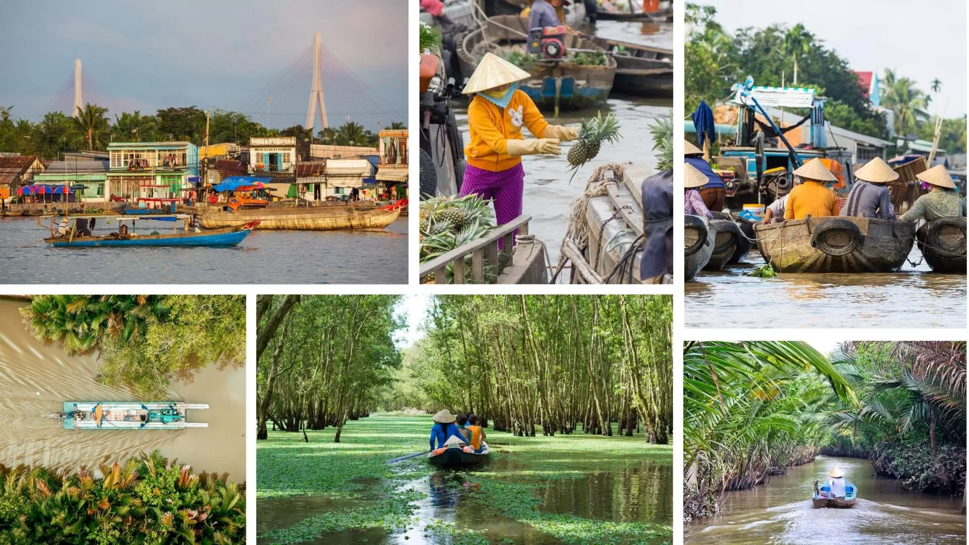 Day tours from Saigon to Mekong Delta 