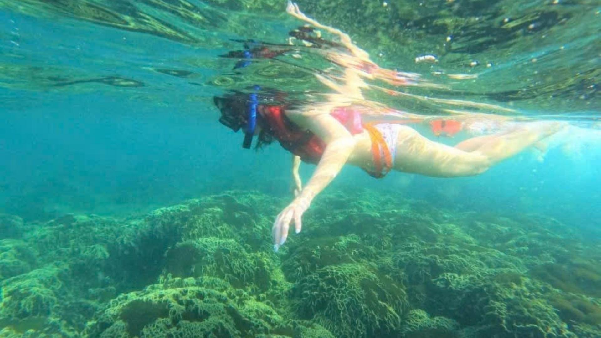 Snorkeling