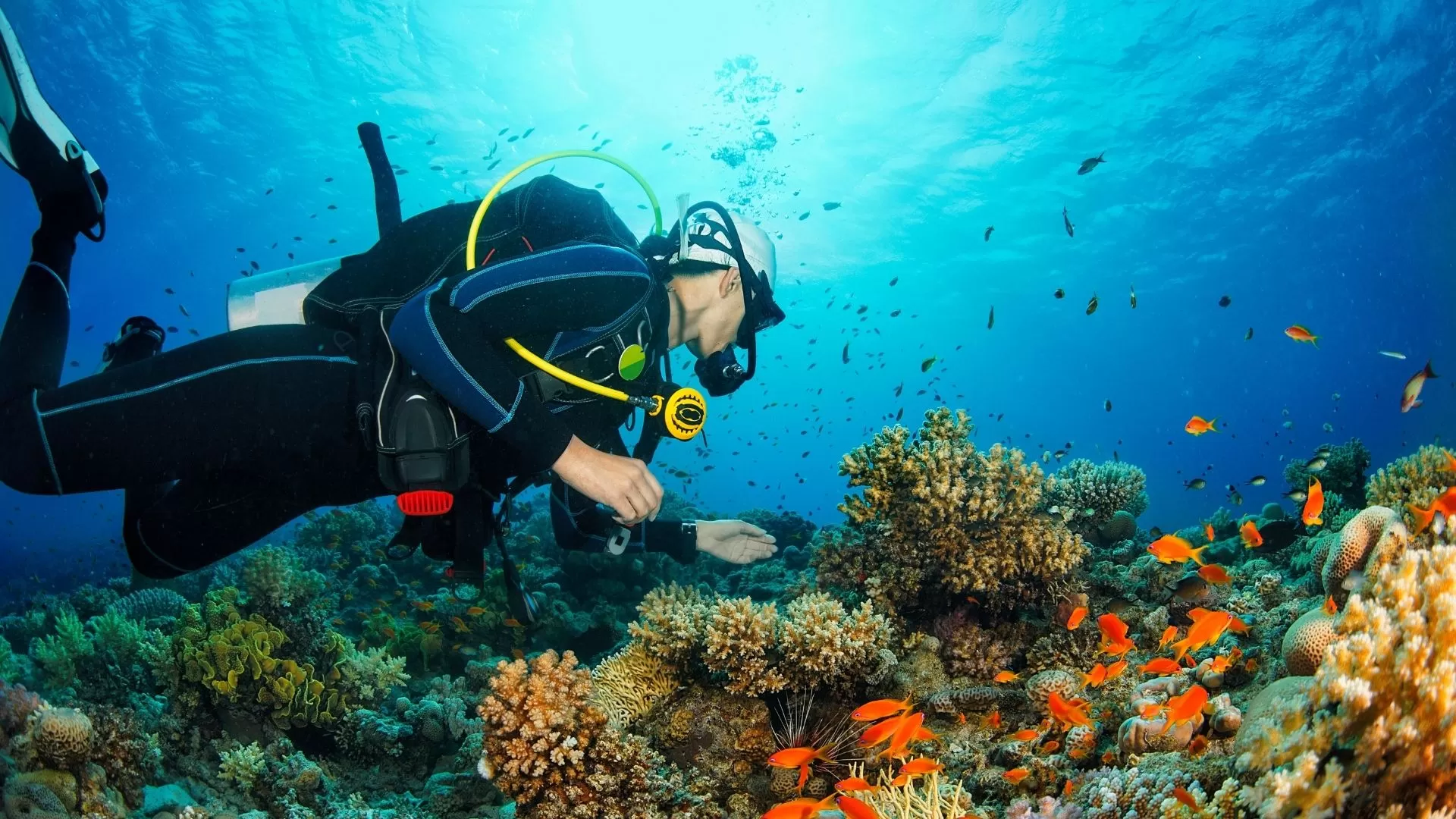 Plongée à Phu Quoc
