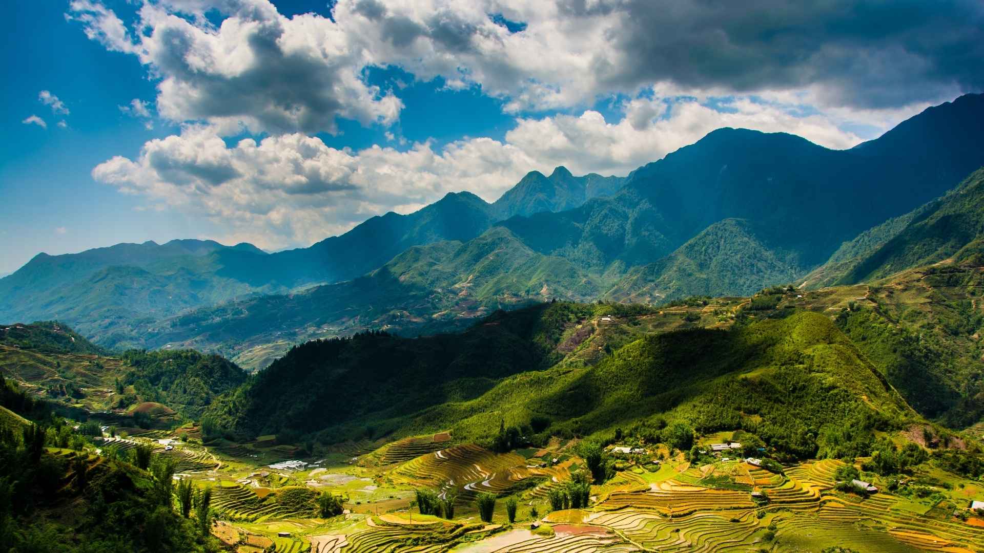 Explore the terraced rice fields of Pu Luong in Vietnam