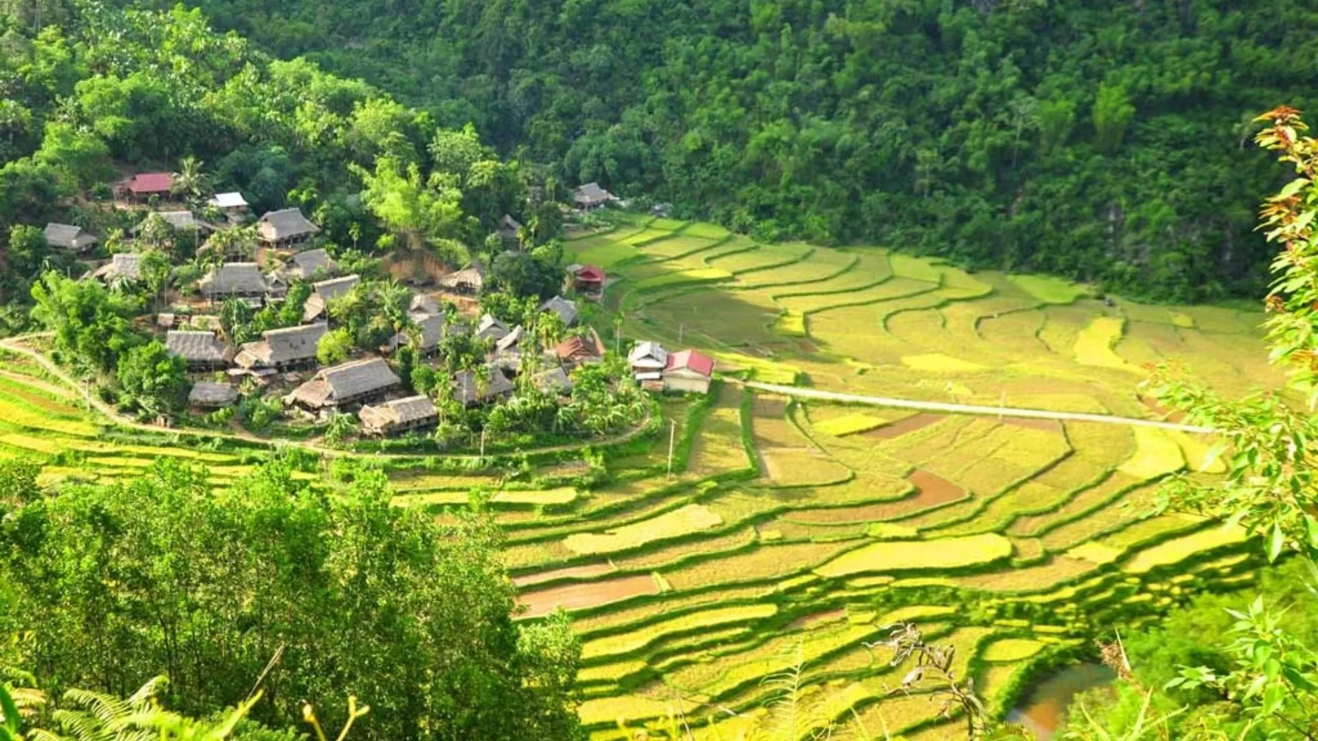 The beautiful landscapes of Pu Luong