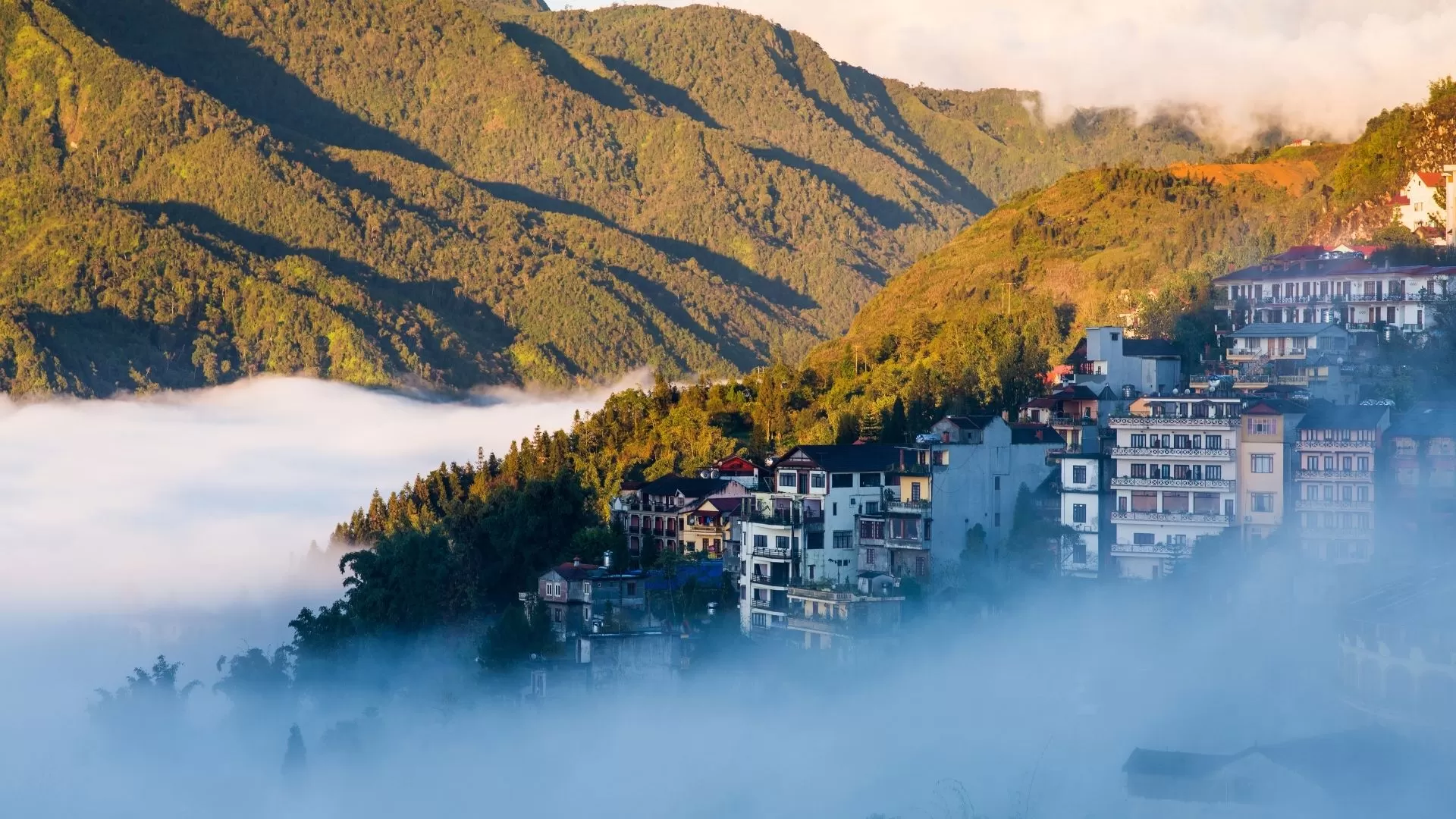 Sapa