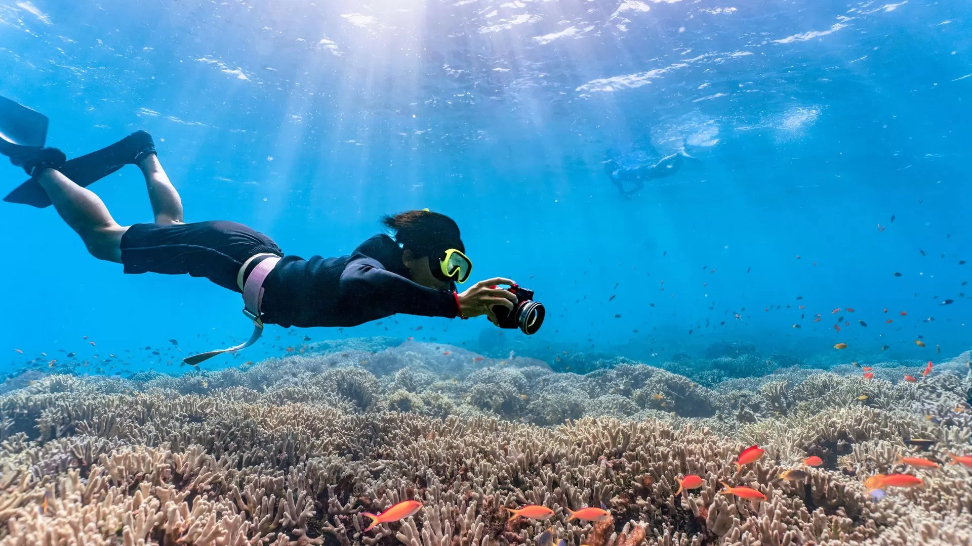 Nha Trang, un écrin balnéaire entre plages et fonds marins
