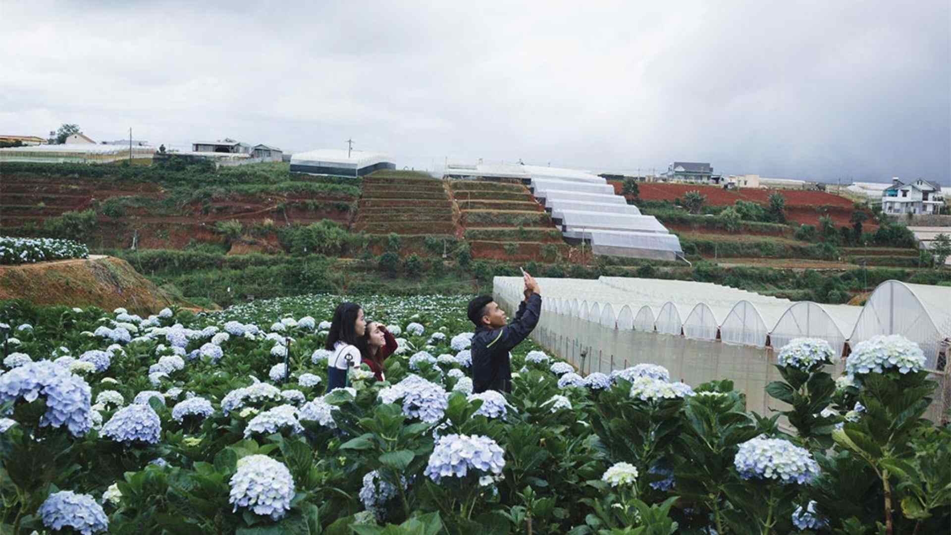 Da Lat - A city in Central Highland of Vietnam