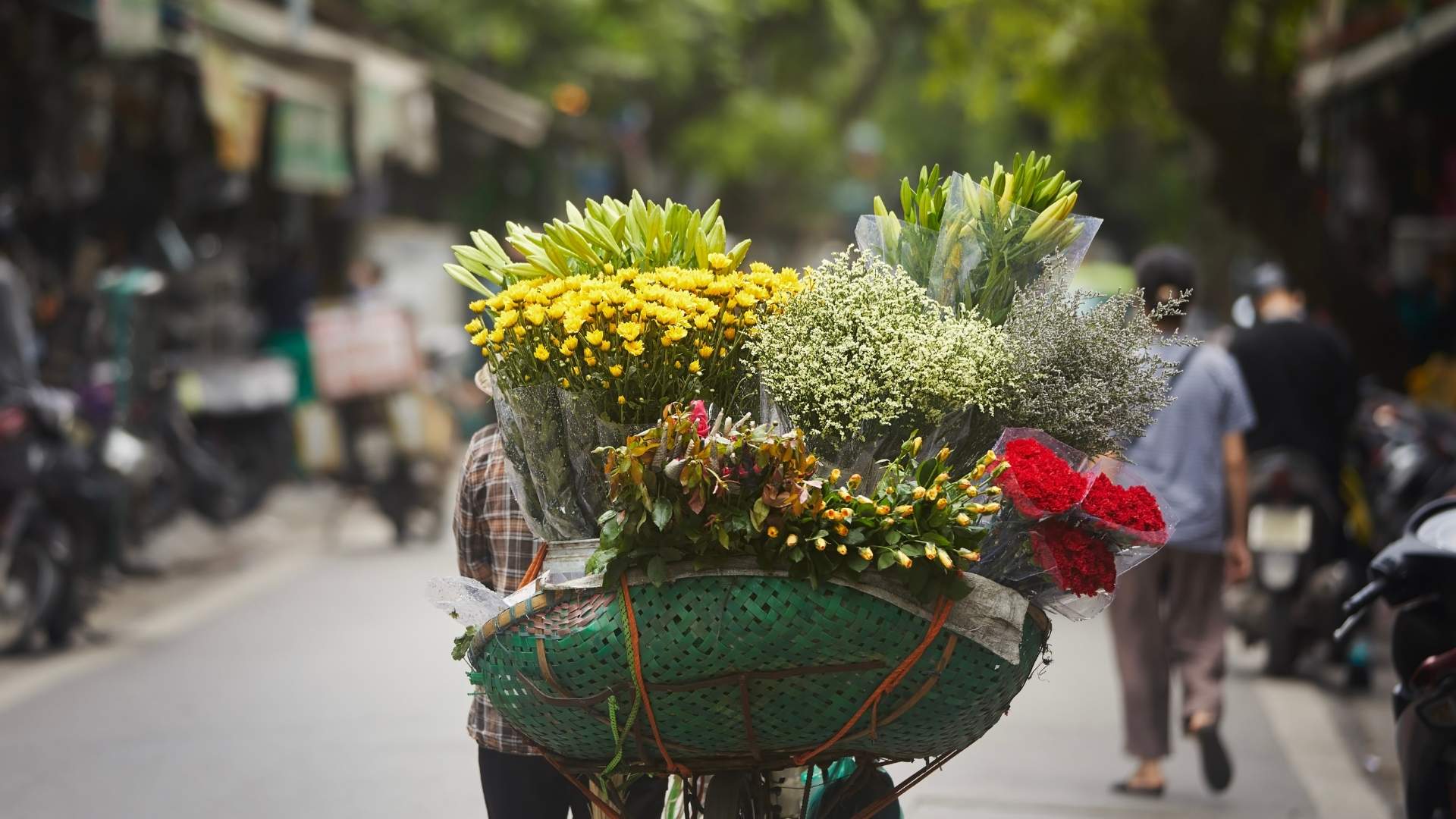 Vietnam in February