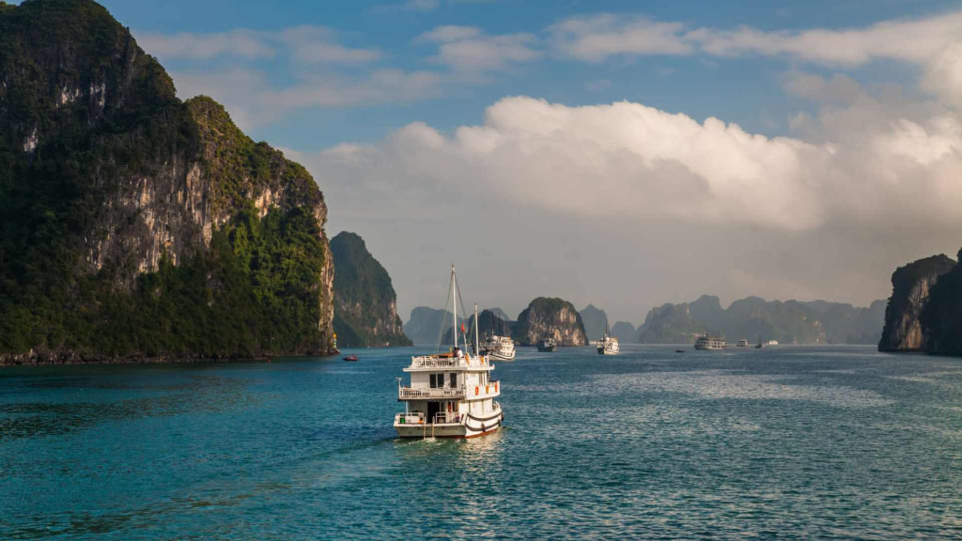 Cruises in Ha Long Bay