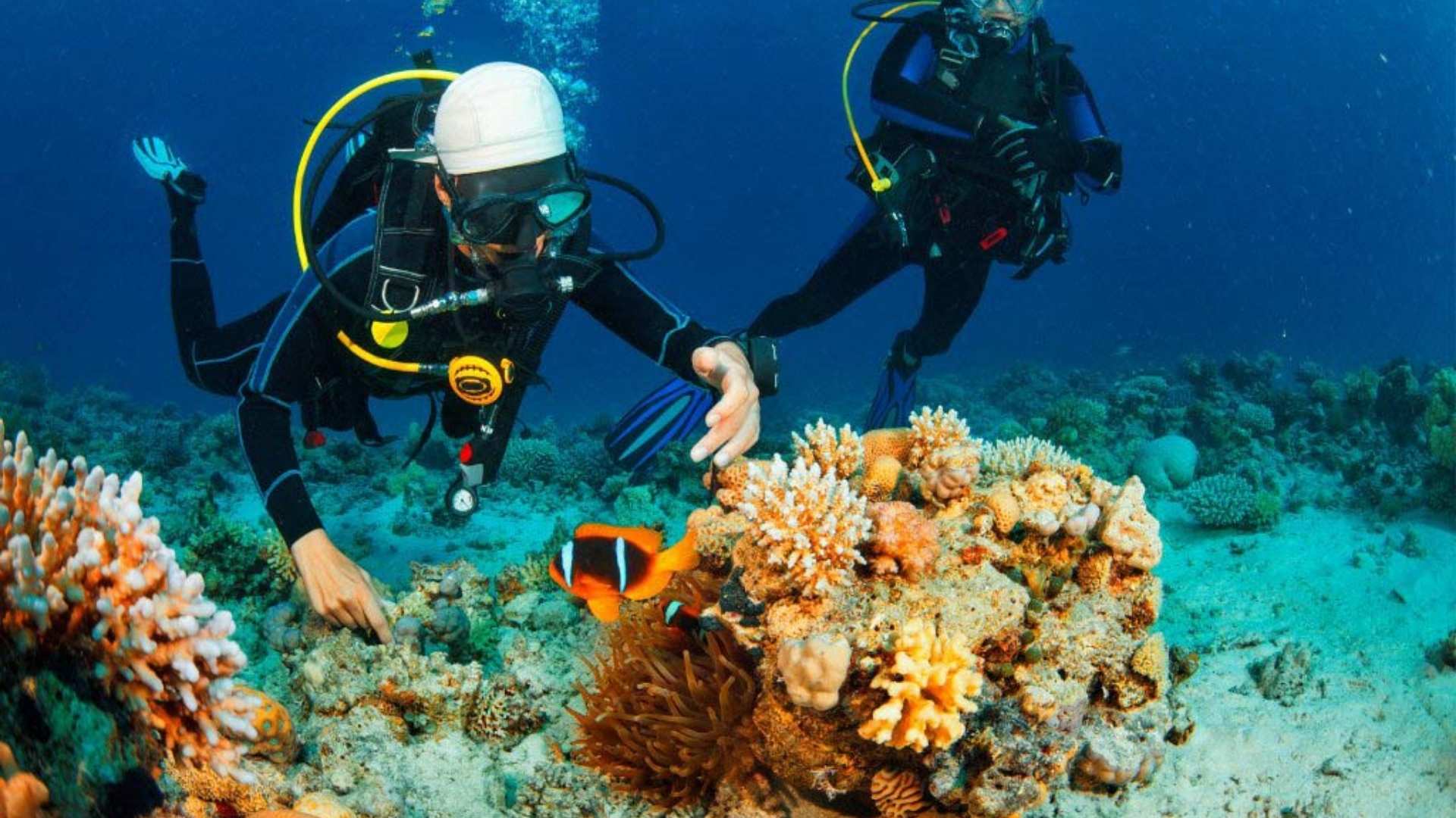 Scuba diving in Nha Trang
