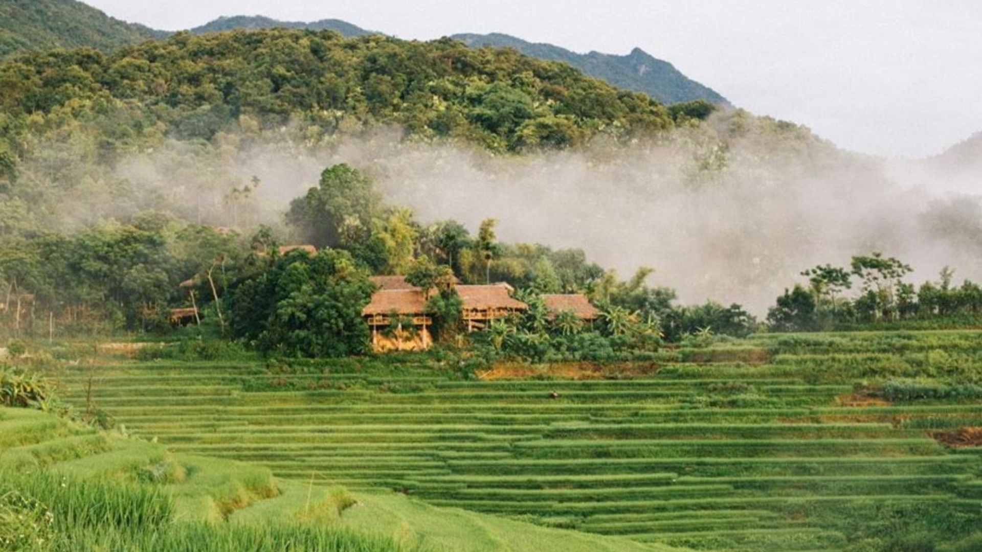 Pu Luong nature reserve